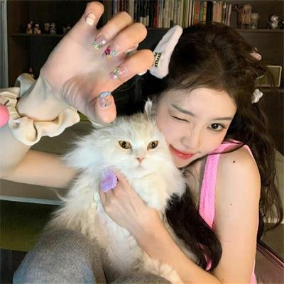 帕勒摩猎影