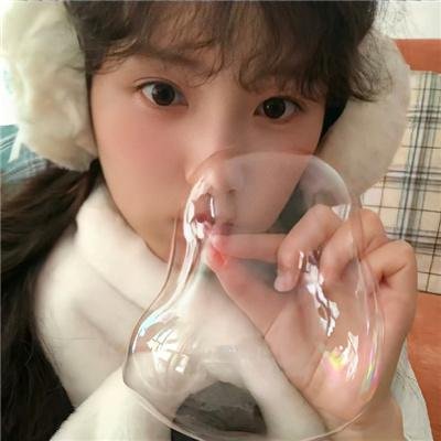 熊族之旅